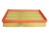 Air Filter:4 041 615