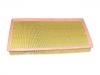 Air Filter:1 665 421