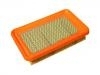 Air Filter:25099209