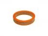 Air Filter:83500999