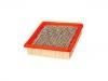 Air Filter:25043246