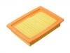 Luftfilter Air Filter:25097359