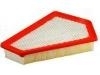 Air Filter:15875795