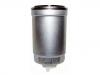 Filtro de combustible Fuel Filter:08 13 565