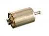 Fuel Filter:25055481