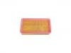 Air Filter:B11-1109111FL