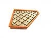 Luftfilter Air Filter:20857930