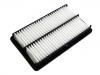 Air Filter:T21-1109111