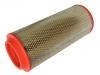 Luftfilter Air Filter:87370414